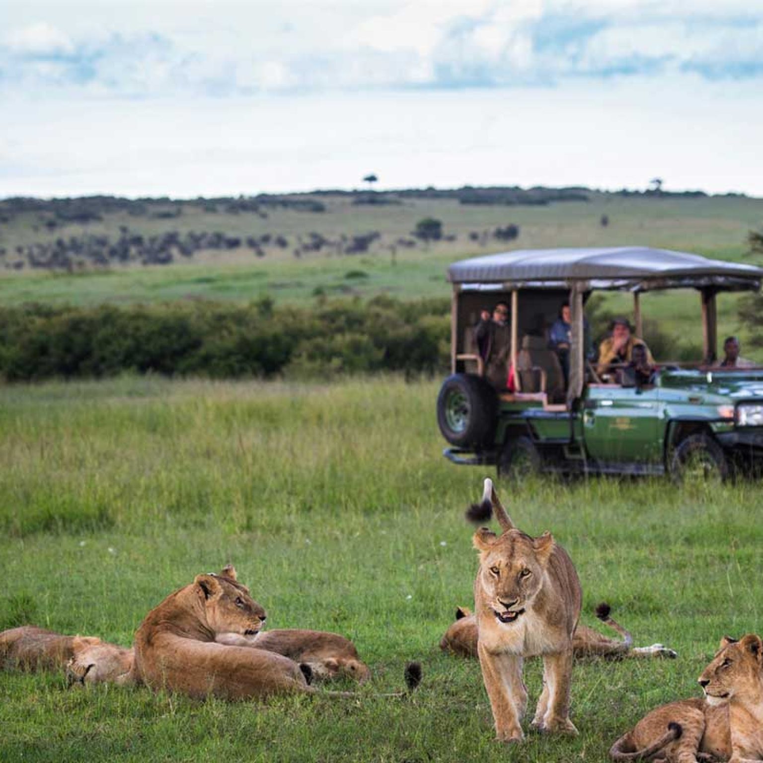 Masai Mara