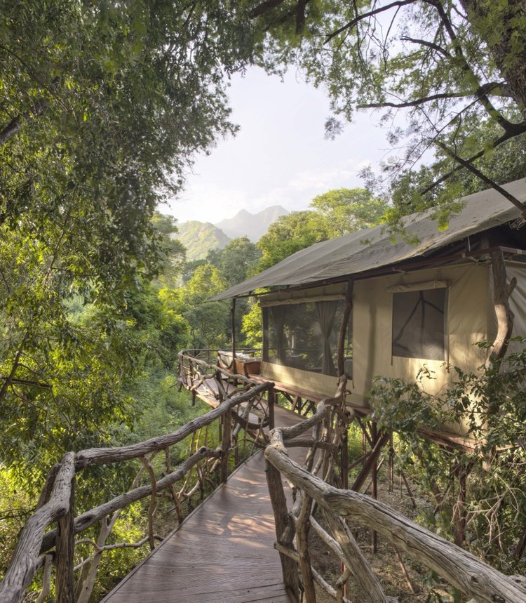 Sarara Treehouses