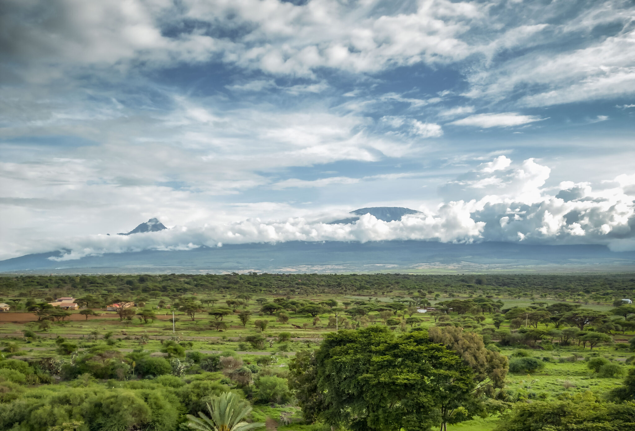 SwimingPool&Kili_4x5 (1)