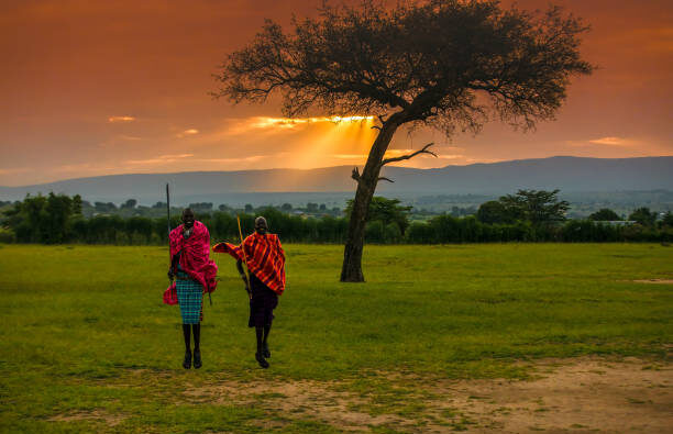 African Masai Warriors at Sunrise with Acacia Tree