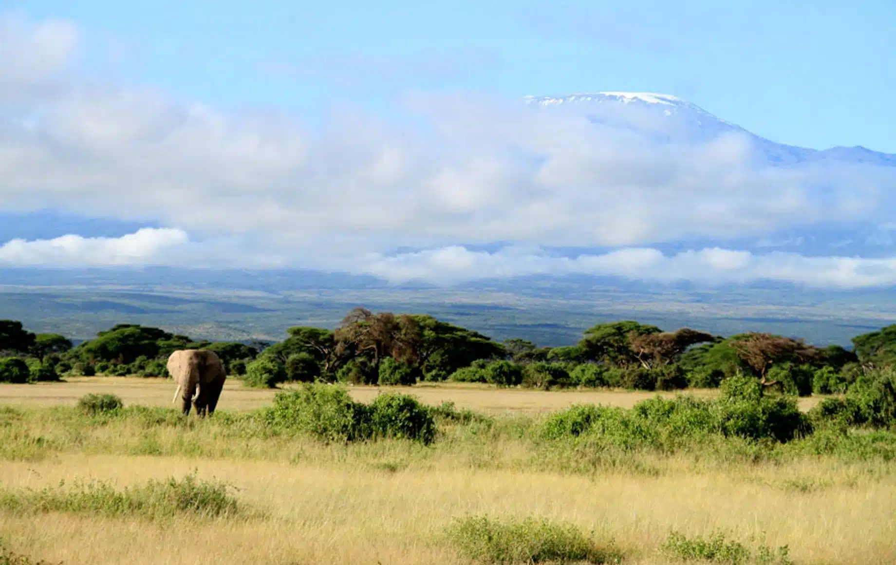 3 days Amboseli