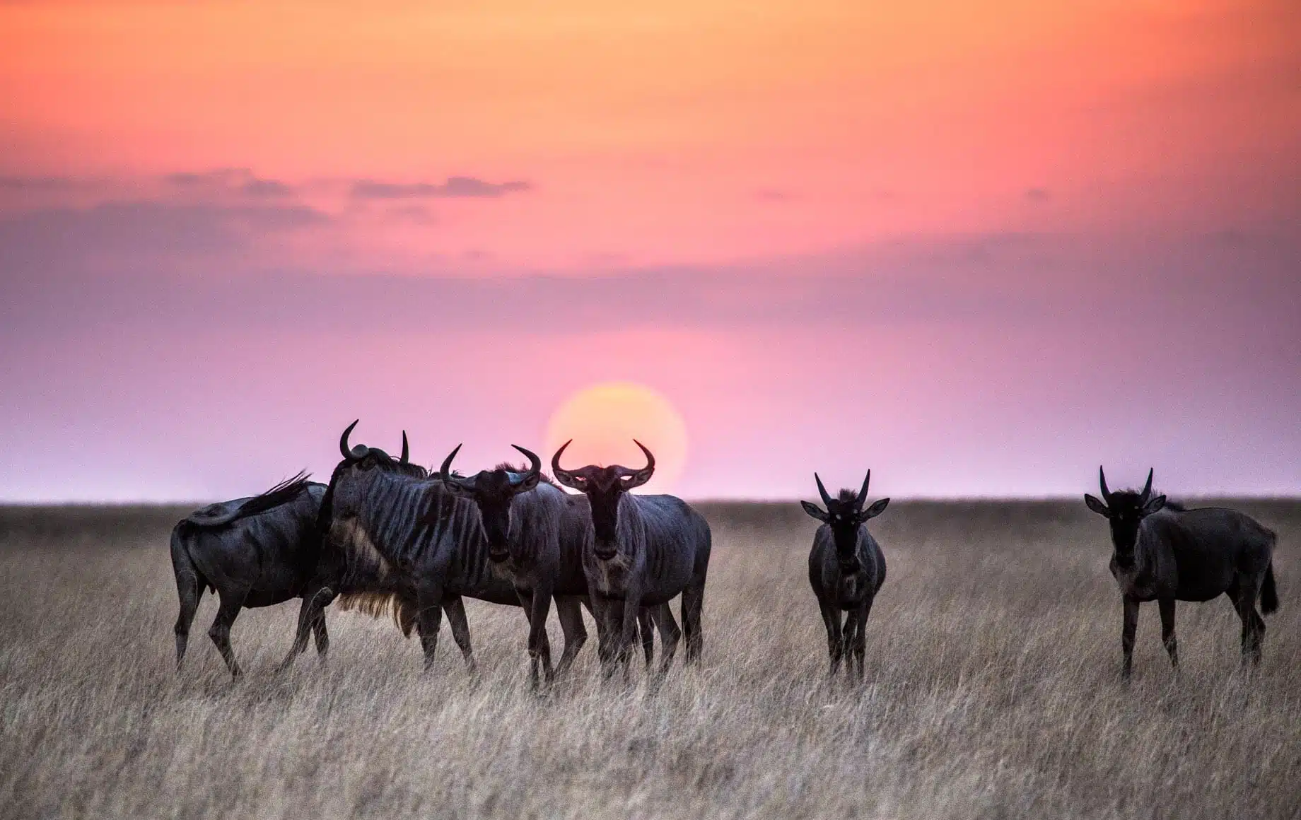 4 Days The Giants Trail