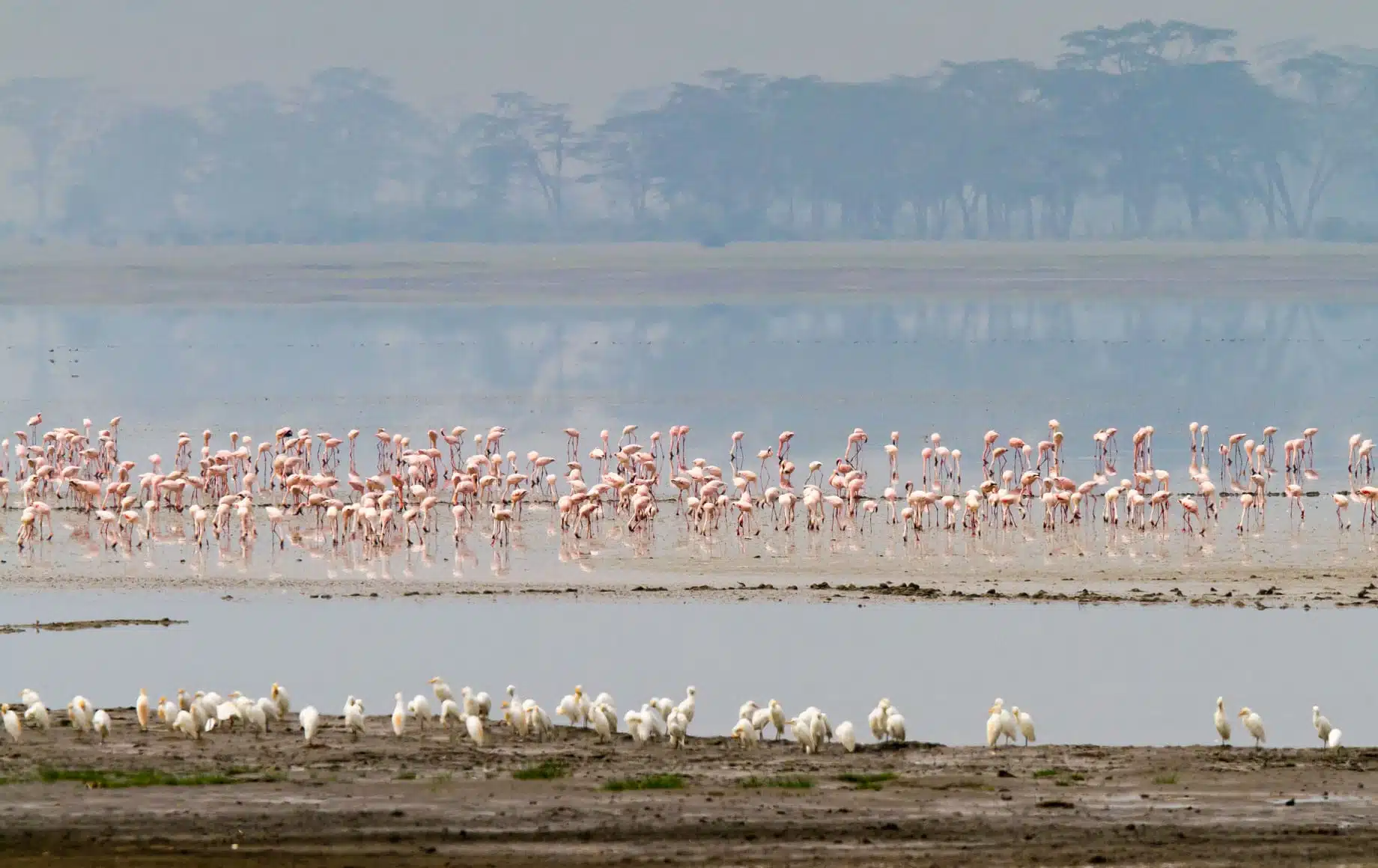 8 days wonders of Kenya and Tanzania