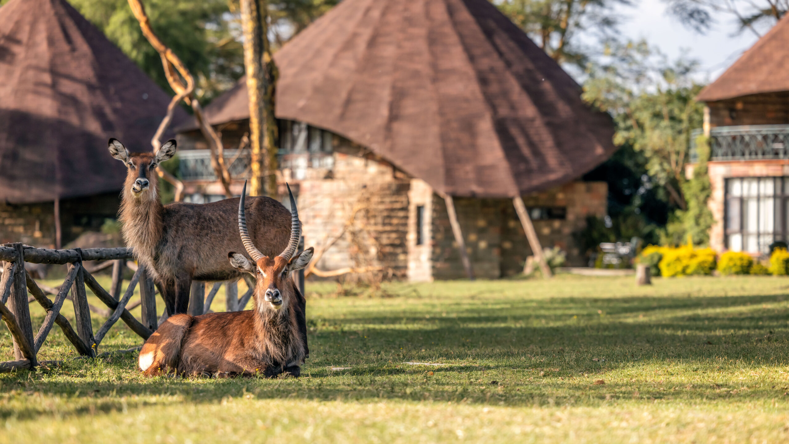 Waterbucks&Rooms_16x9 (1)