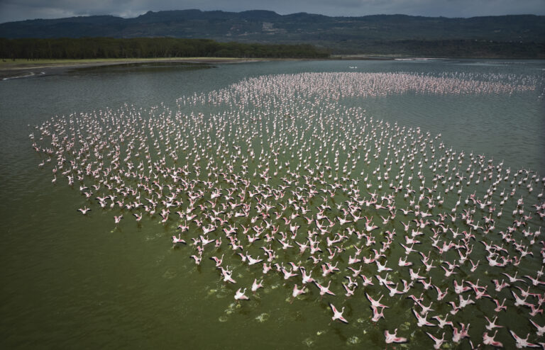 The Rift Valley Explorer | 5 Days Discovering Kenya’s dramatic Rift Valley, Flamingo Lakes, and Big Five Habitats.