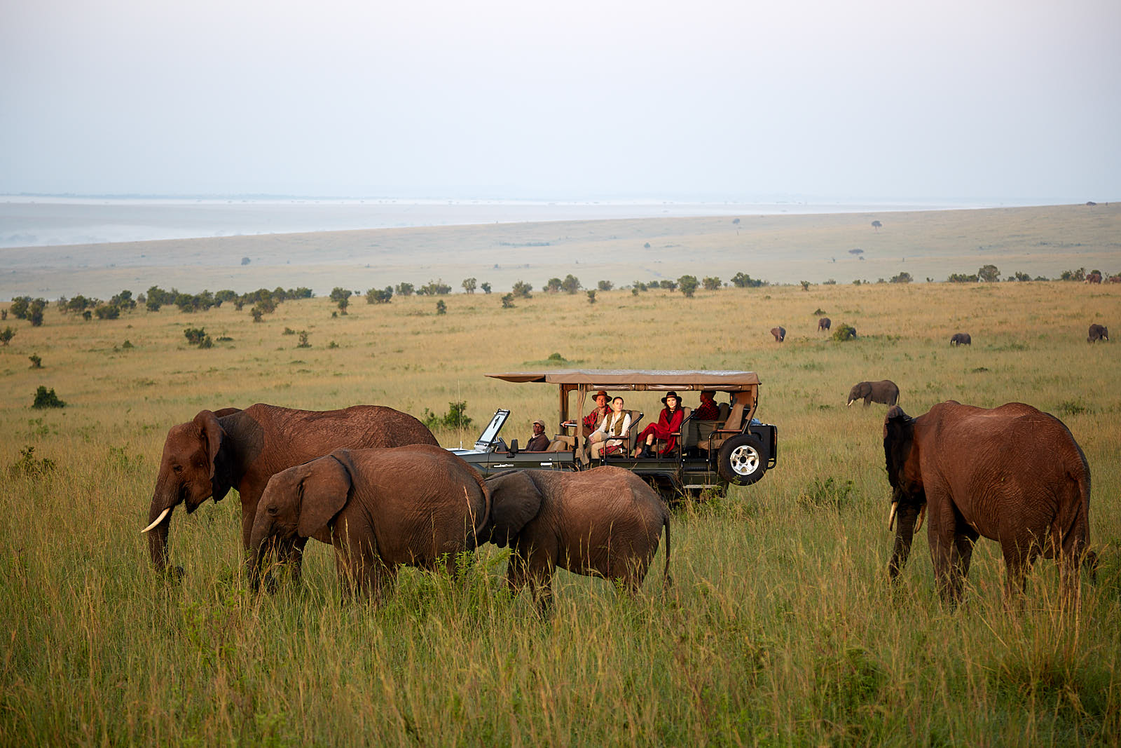 Wild Tracks to White Sands | 7-Nights of indulgence from Wild savannahs to Pristine Indian Ocean sands.