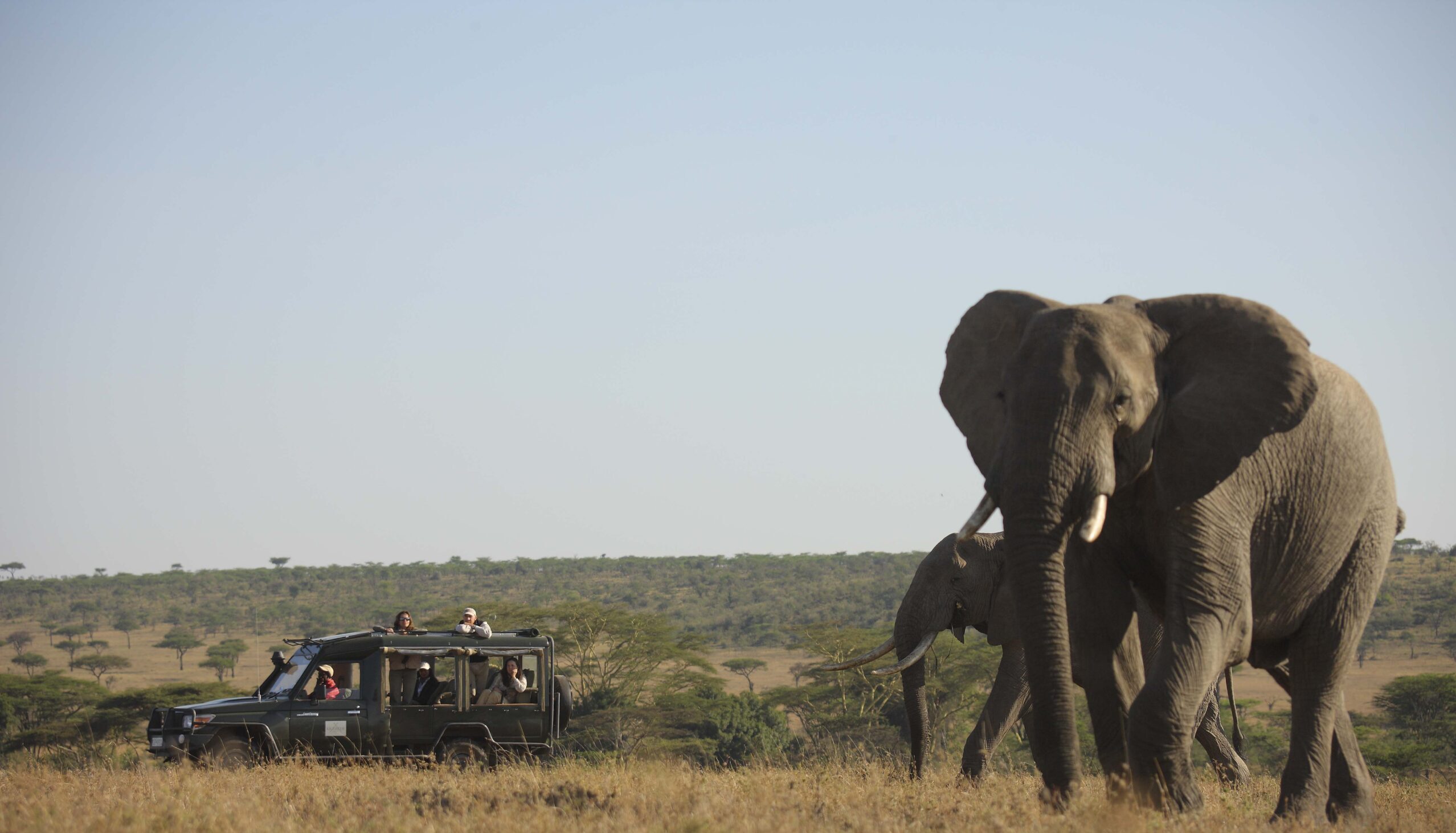 Serengeti & Crater Majesty |  3-Night Safari Escape to Serengeti & Ngorongoro Conservation Area.