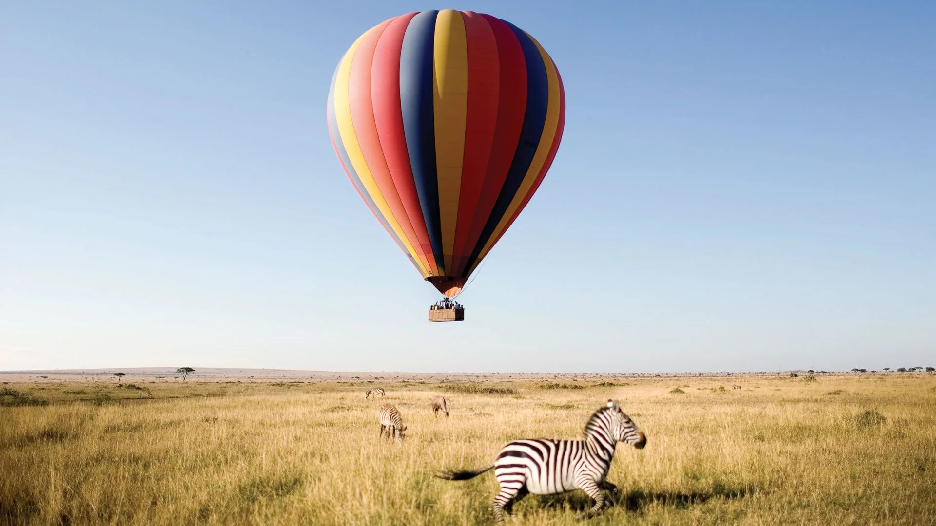 Hot air balloon safari