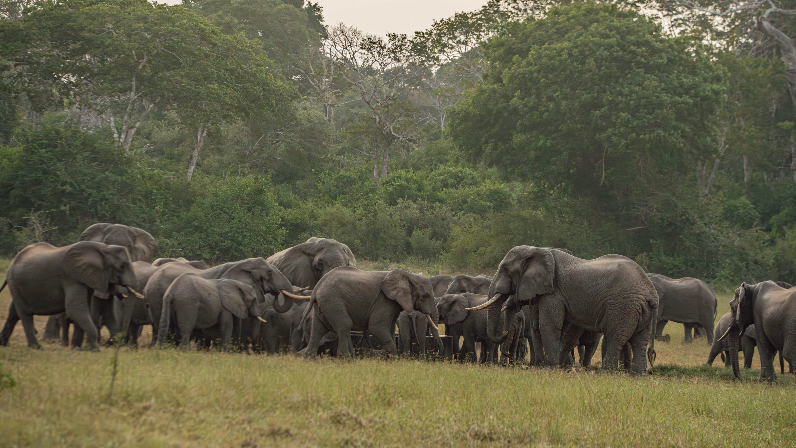 Luxury at Hemingways Watamu for Family Escape – Stay 4, Pay 3
