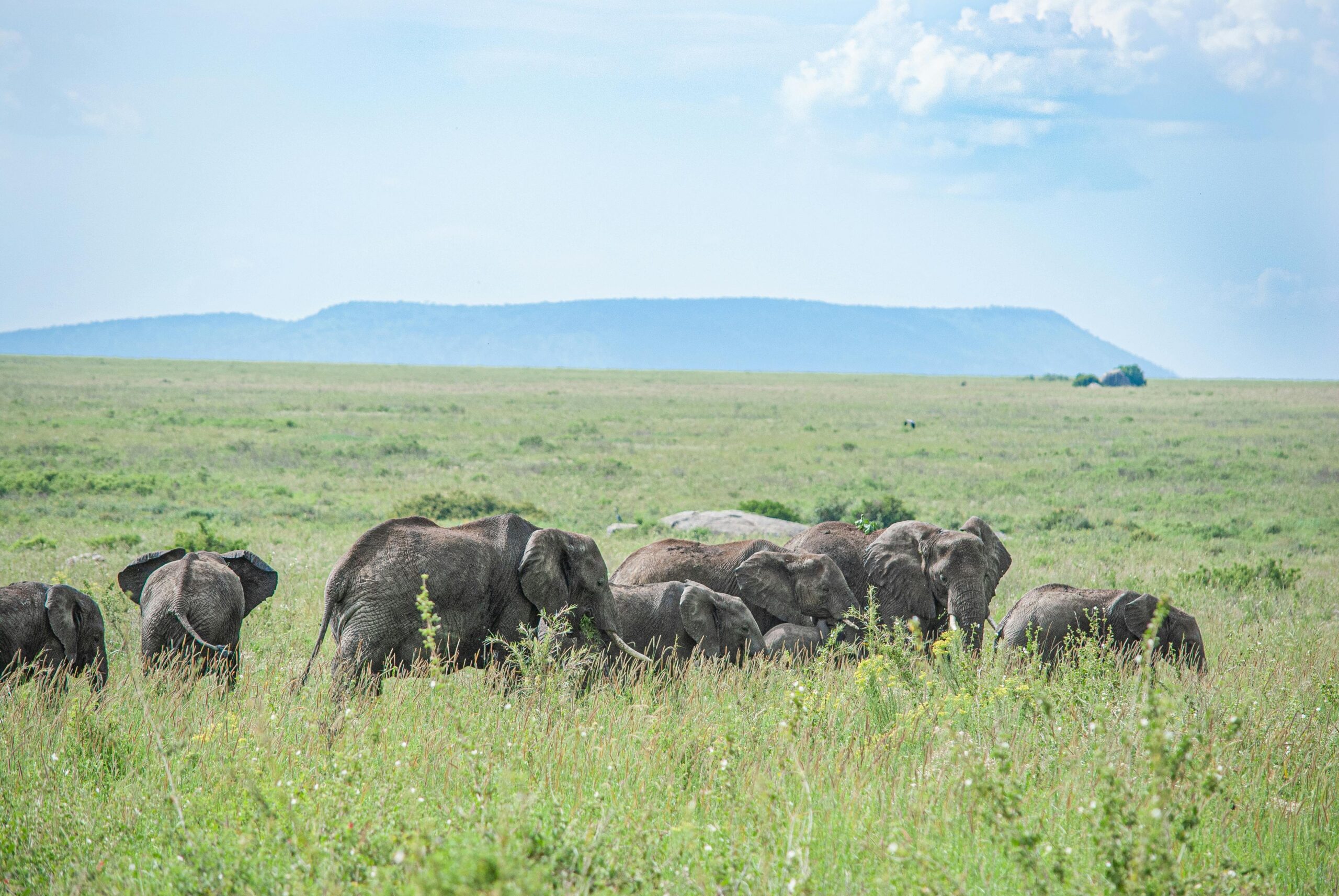 pexels-aleksandr-volkov-2973107-6997165