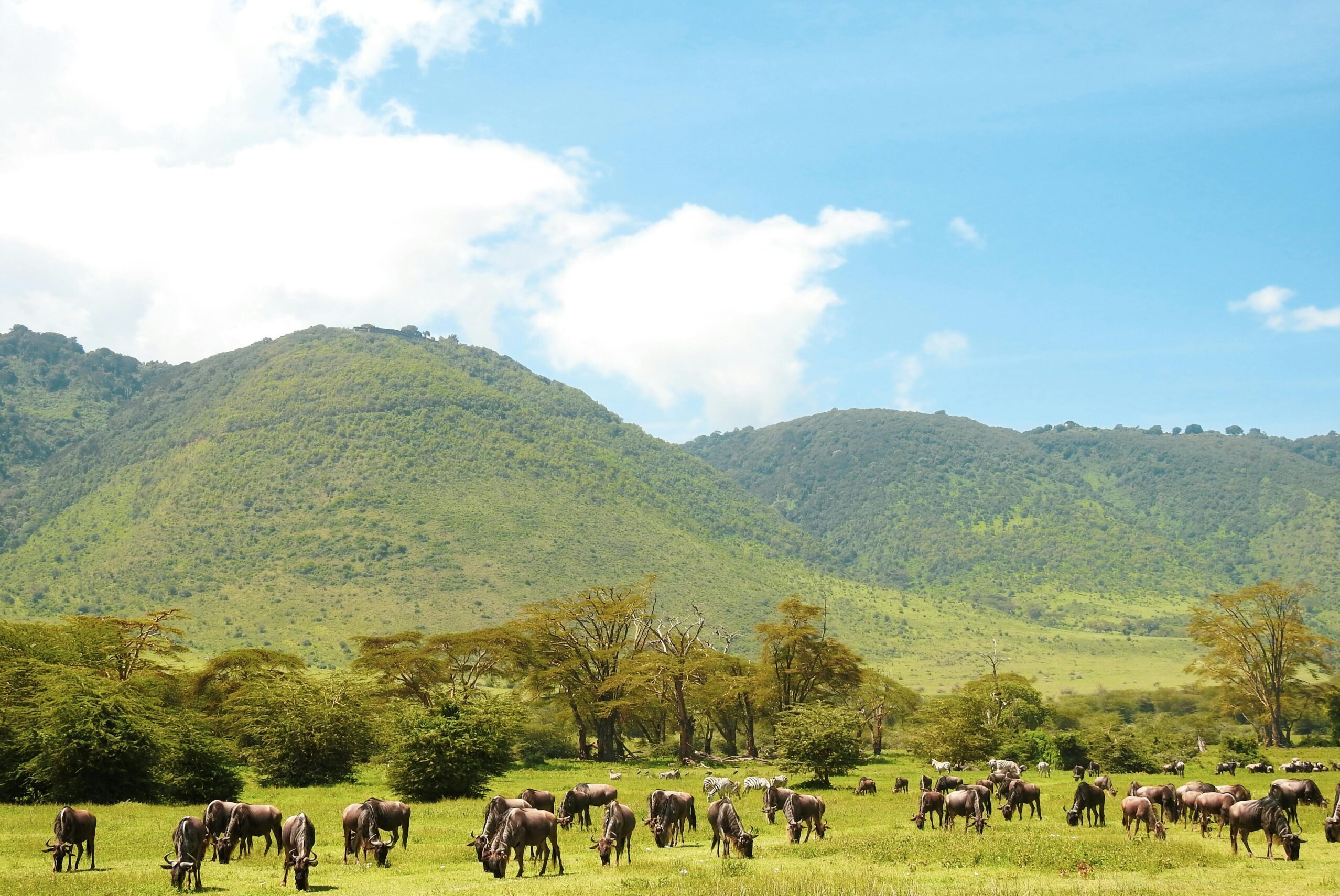 pexels-maasai-magic-3752887-5574091