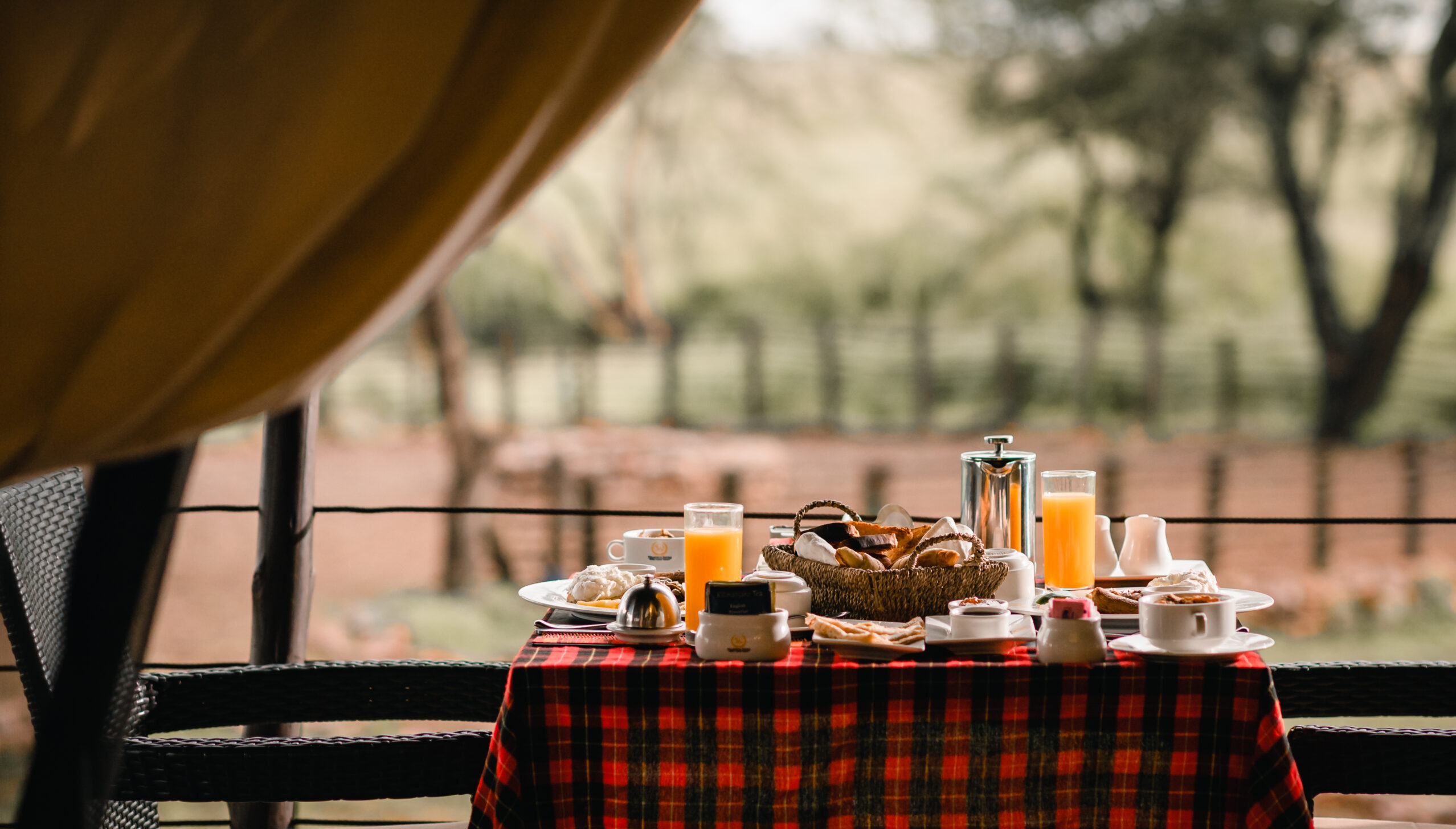 Crown of Kilimanjaro & the Great Plains: 8 Days of regal safaris from Kilimanjaro’s shadow to the legendary Mara