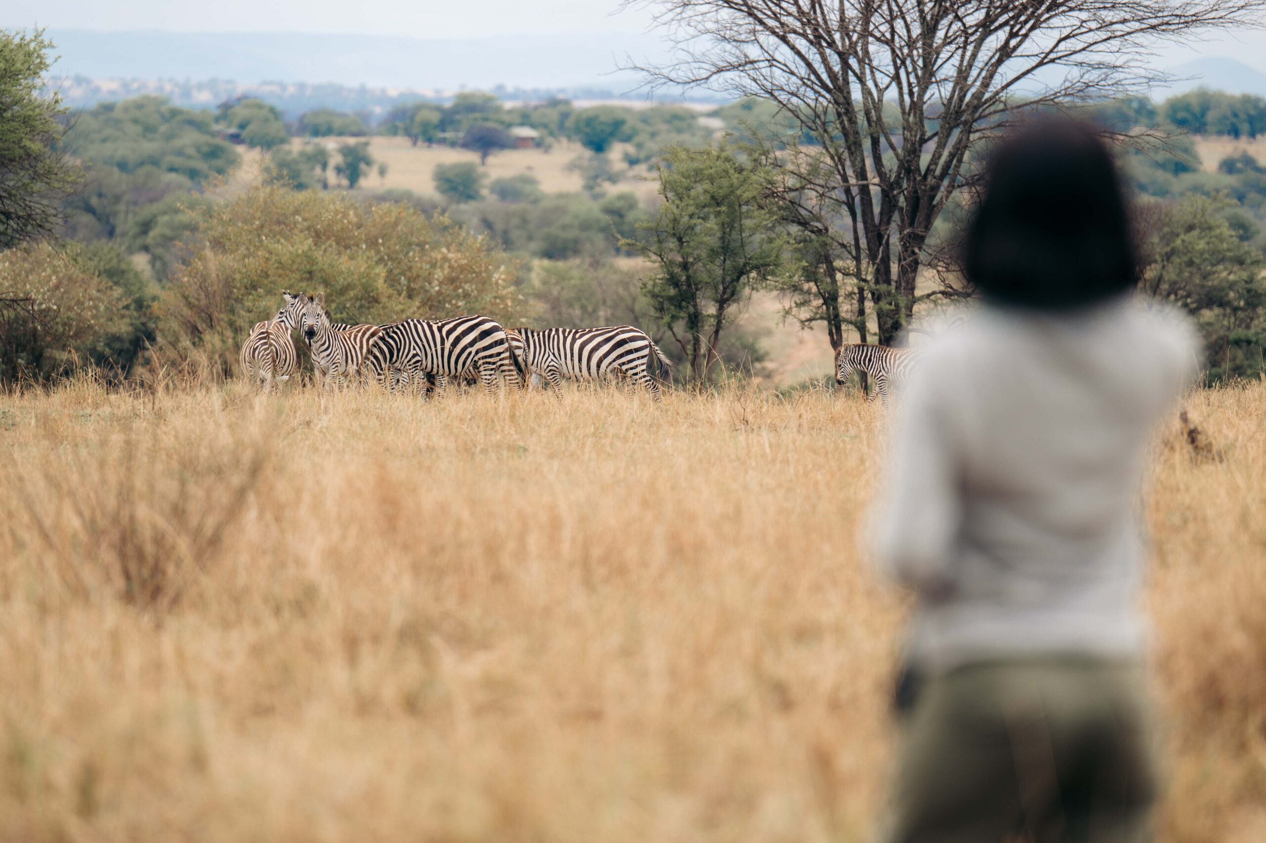 Predator’s Path: 7 Days tracking big cats, vast herds, and Africa’s rawest wild spaces.