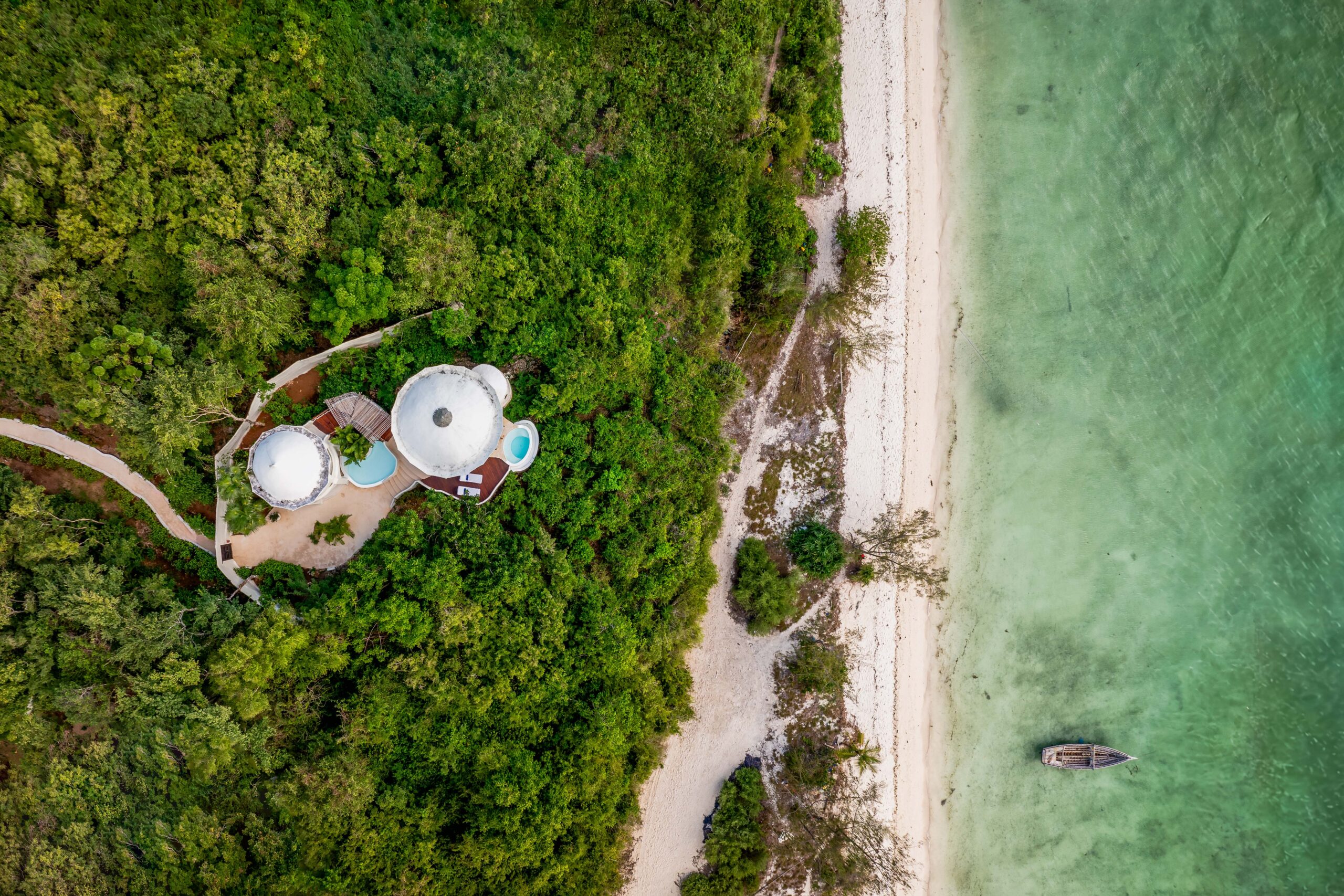 Where the Wild Meets the Waves | A 5-Day Serengeti Safari & Zanzibar Beach Escape