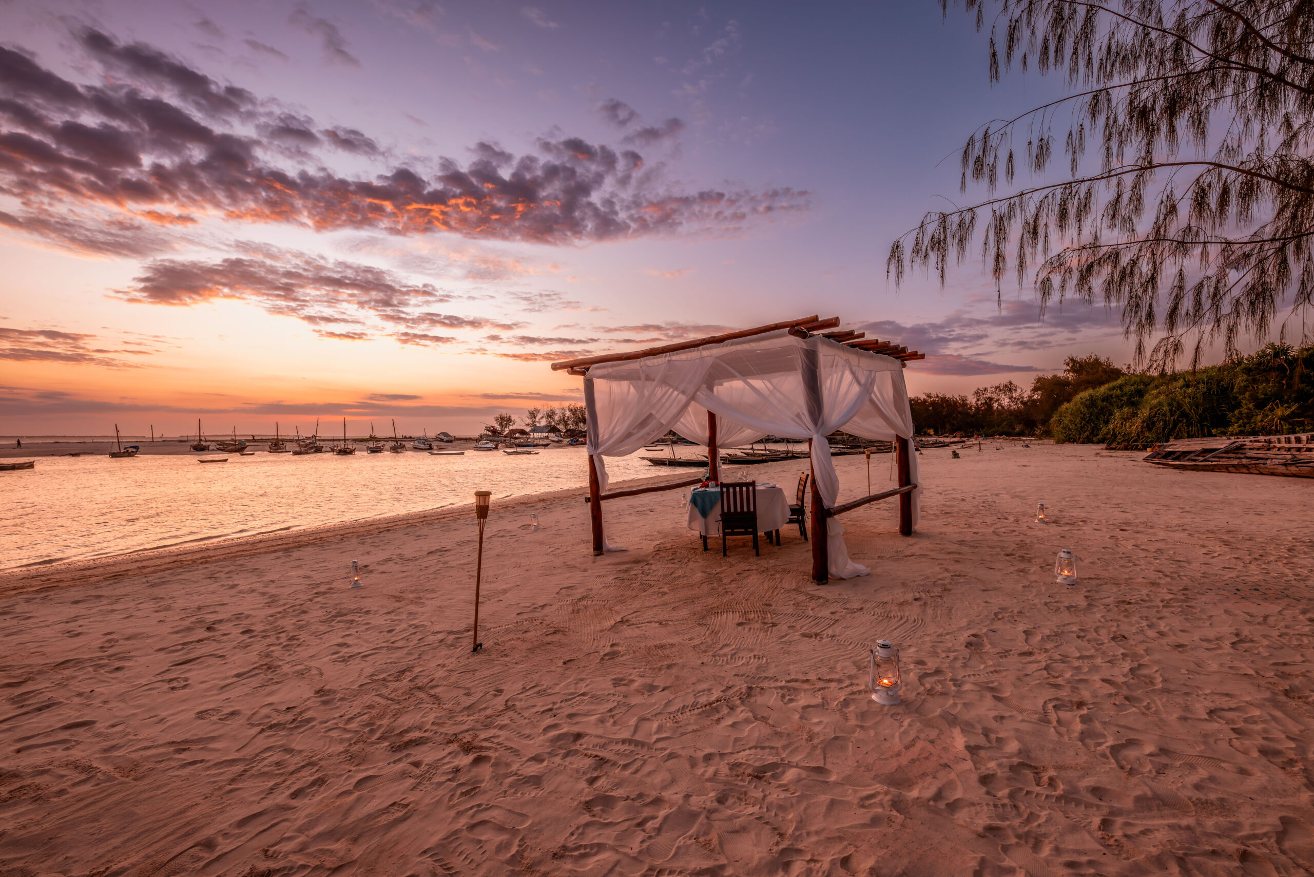 Where the Wild Meets the Waves | A 5-Day Serengeti Safari & Zanzibar Beach Escape