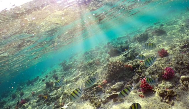 Sunset Whispers of Mauritius | 5 Nights of Coastal Discovery, Lagoon Adventures & Island Thrills