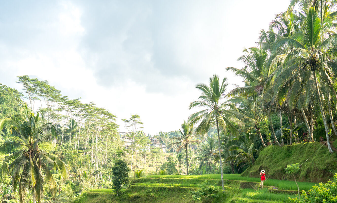 Horizons of Bali | 4 Nights of Cliffside Adventures, Jungle Swings, and Nusa Penida Exploration