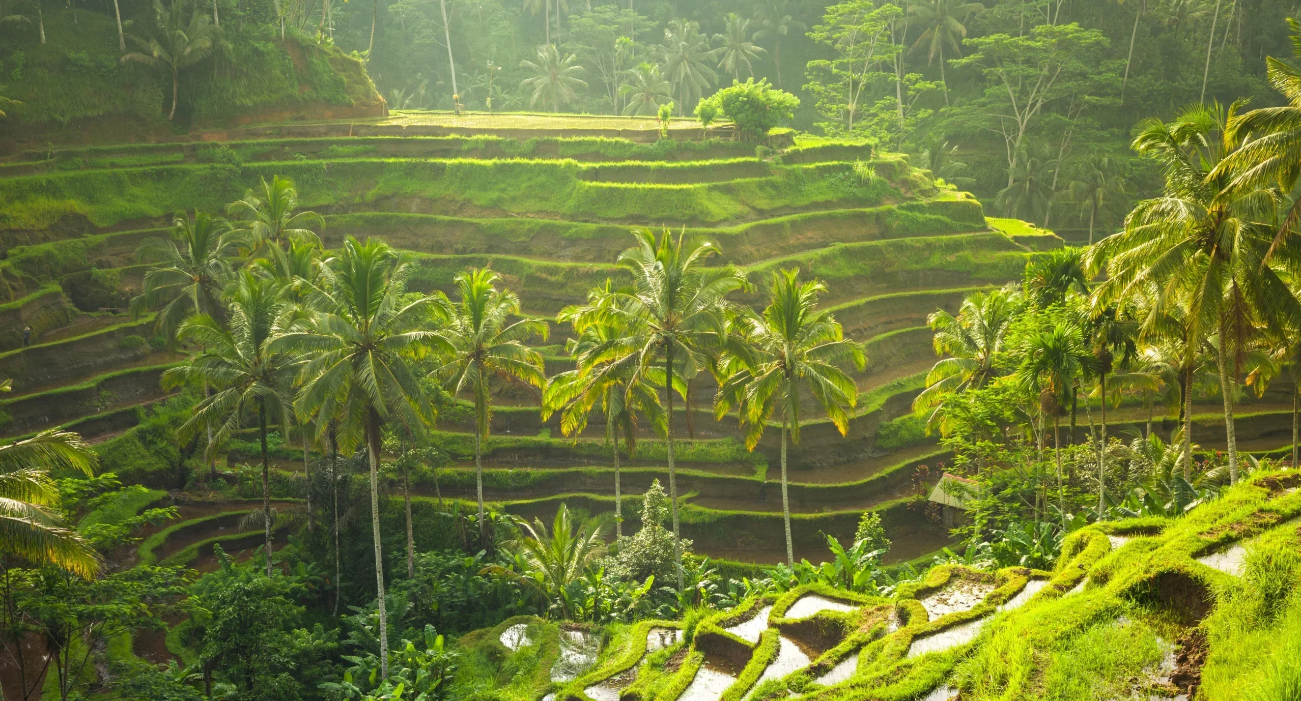 Pulse of the God’s Expedition | Bali’s 6 – Nights of Sunset Temples, Island Escapes and Lush Highlands.