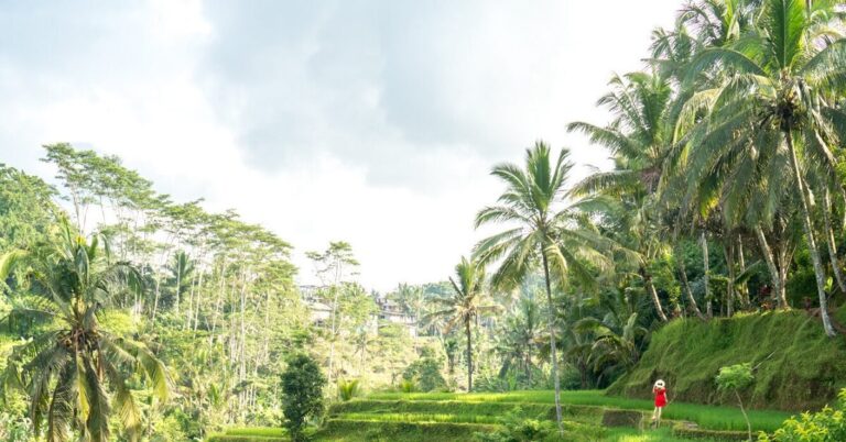 Horizons of Bali | 4 Nights of Cliffside Adventures, Jungle Swings, and Nusa Penida Exploration