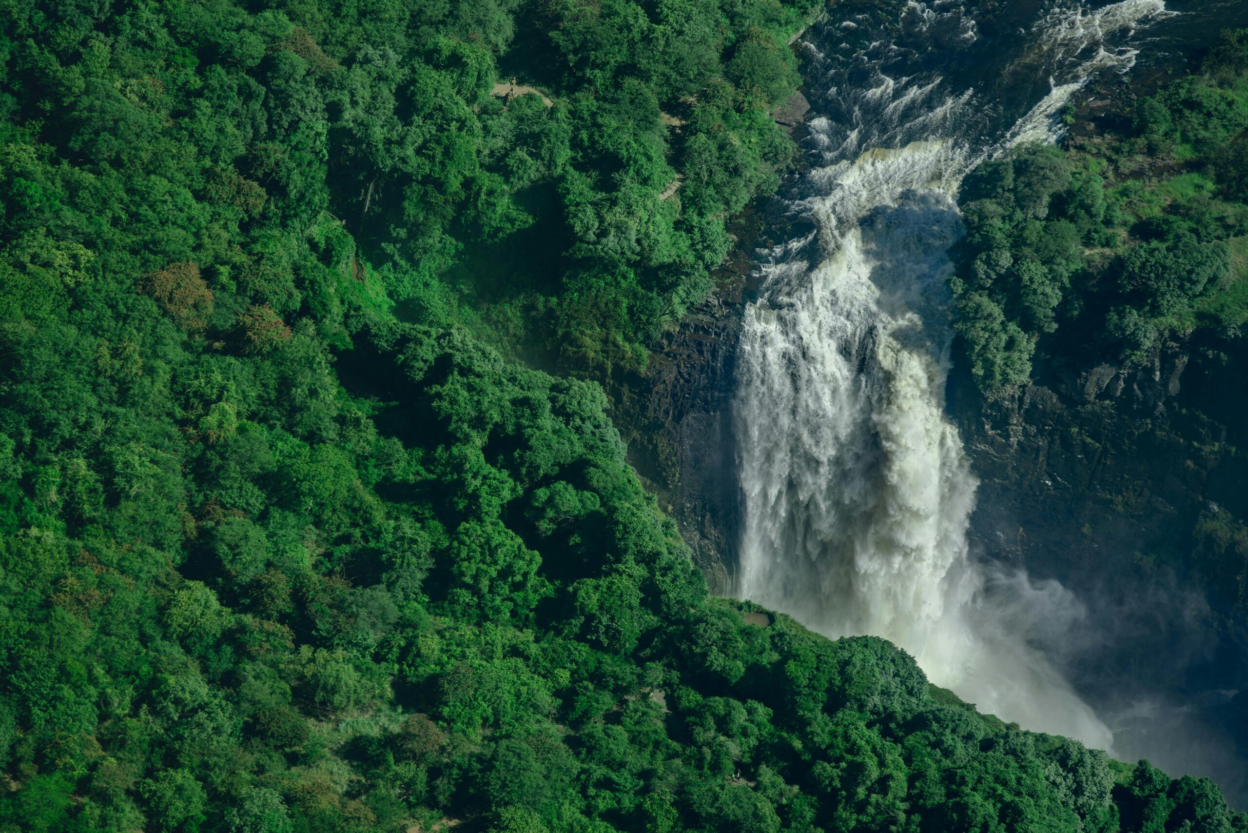 Crown of Zambia & Botswana | 5-Days Cross-Boarder safari From the Zambezi’s roar to Chobe’s Elephant herds.