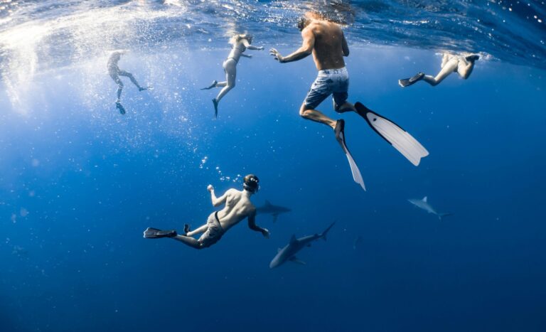 Moonlit Sands of the Maldives | 7-Nights of Snorkeling with Turtles, Island-Hopping Adventures, and Dolphin Encounters in the Maldives.