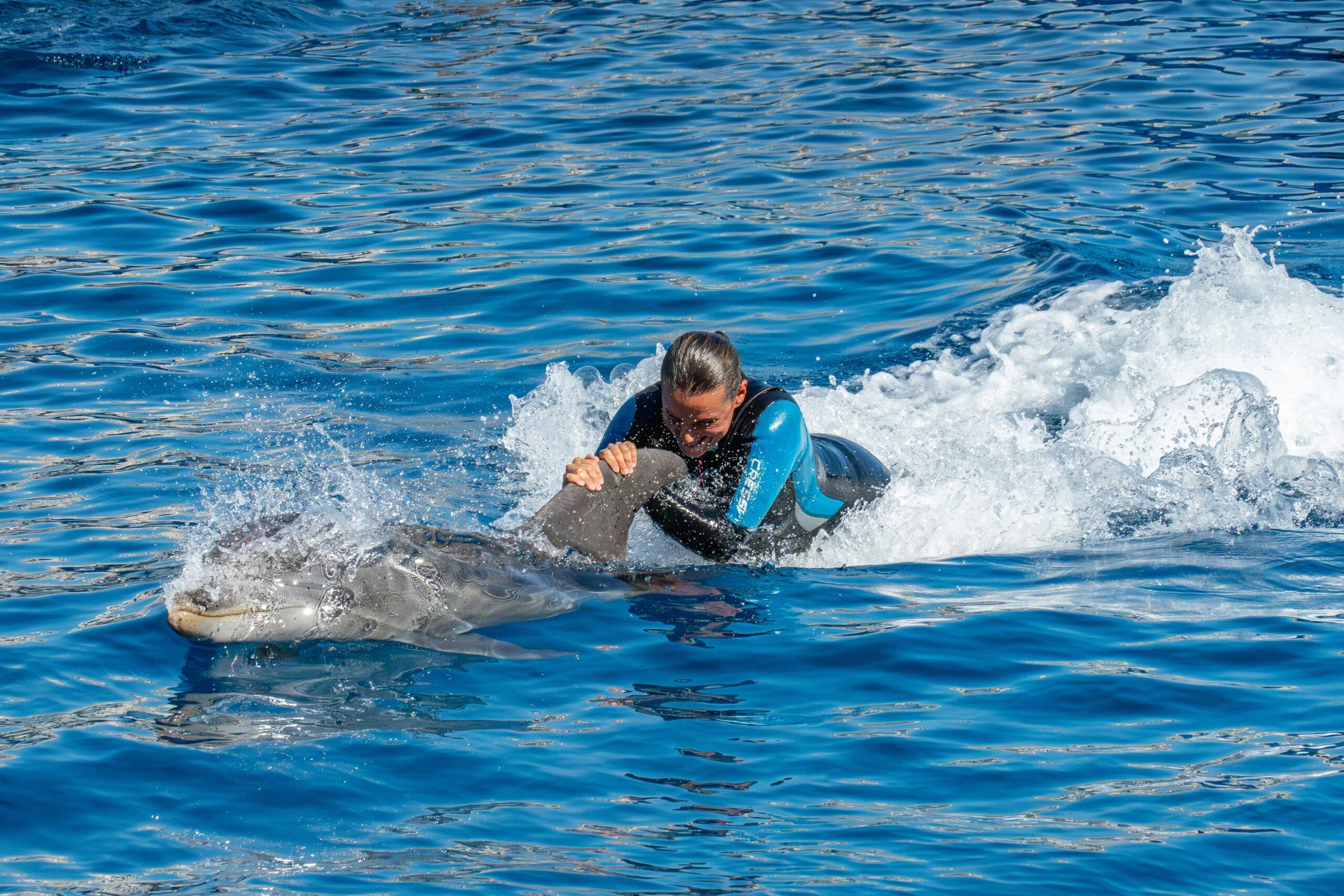 Moonlit Sands of the Maldives | 7-Nights of Snorkeling with Turtles, Island-Hopping Adventures, and Dolphin Encounters in the Maldives.