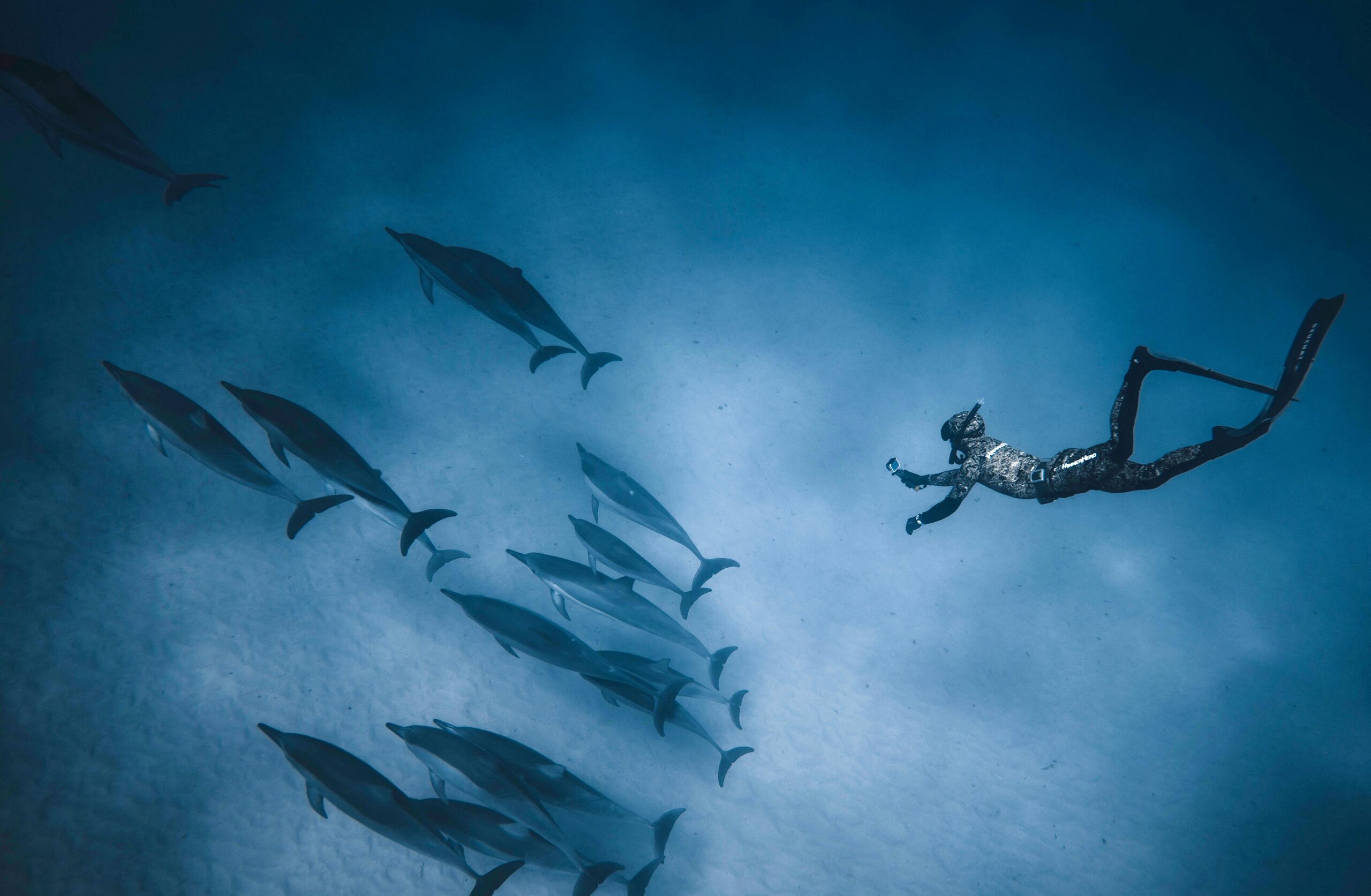 Moonlit Sands of the Maldives | 7-Nights of Snorkeling with Turtles, Island-Hopping Adventures, and Dolphin Encounters in the Maldives.