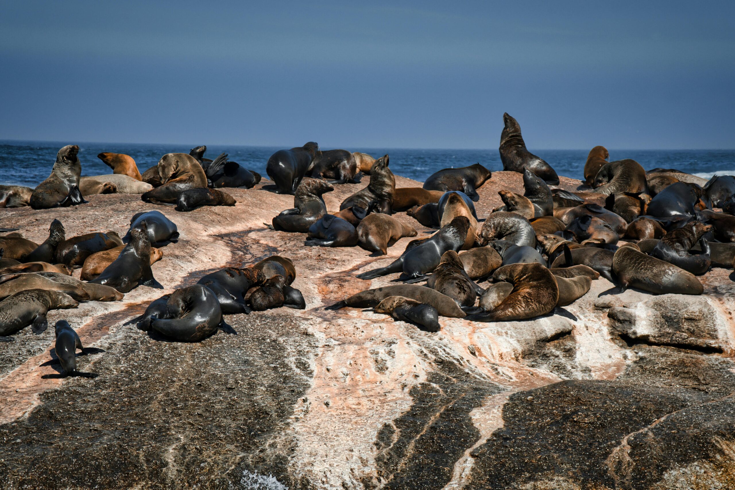 pexels-travel-with-lenses-734723610-26237874